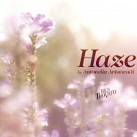 haze_antonella-arismendi_ben-trovato-intro haze_antonella-arismendi_ben-trovato-intro